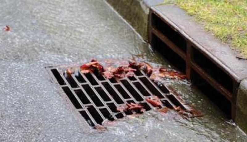 Leifar skordýra- og illgresiseiturs finnast ekki í umhverfinu á Íslandi