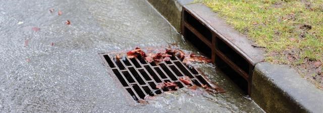 Leifar skordýra- og illgresiseiturs finnast ekki í umhverfinu á Íslandi