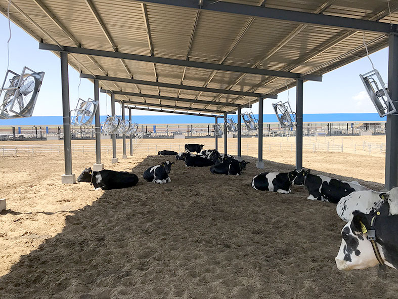 Viðkvæmari fyrir útihita