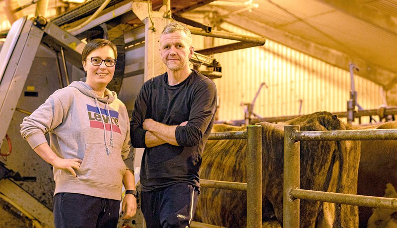 Stóra-Mörk slær met