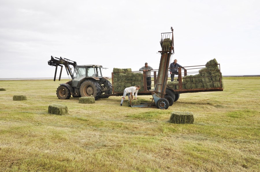 Sigrún Agata Árnadóttir við stýrið á dráttarvélinni og tínir upp  baggana af túninu, en Grétar Már Óskarsson og Bárður Kristjánsson hlaða á vagninn.