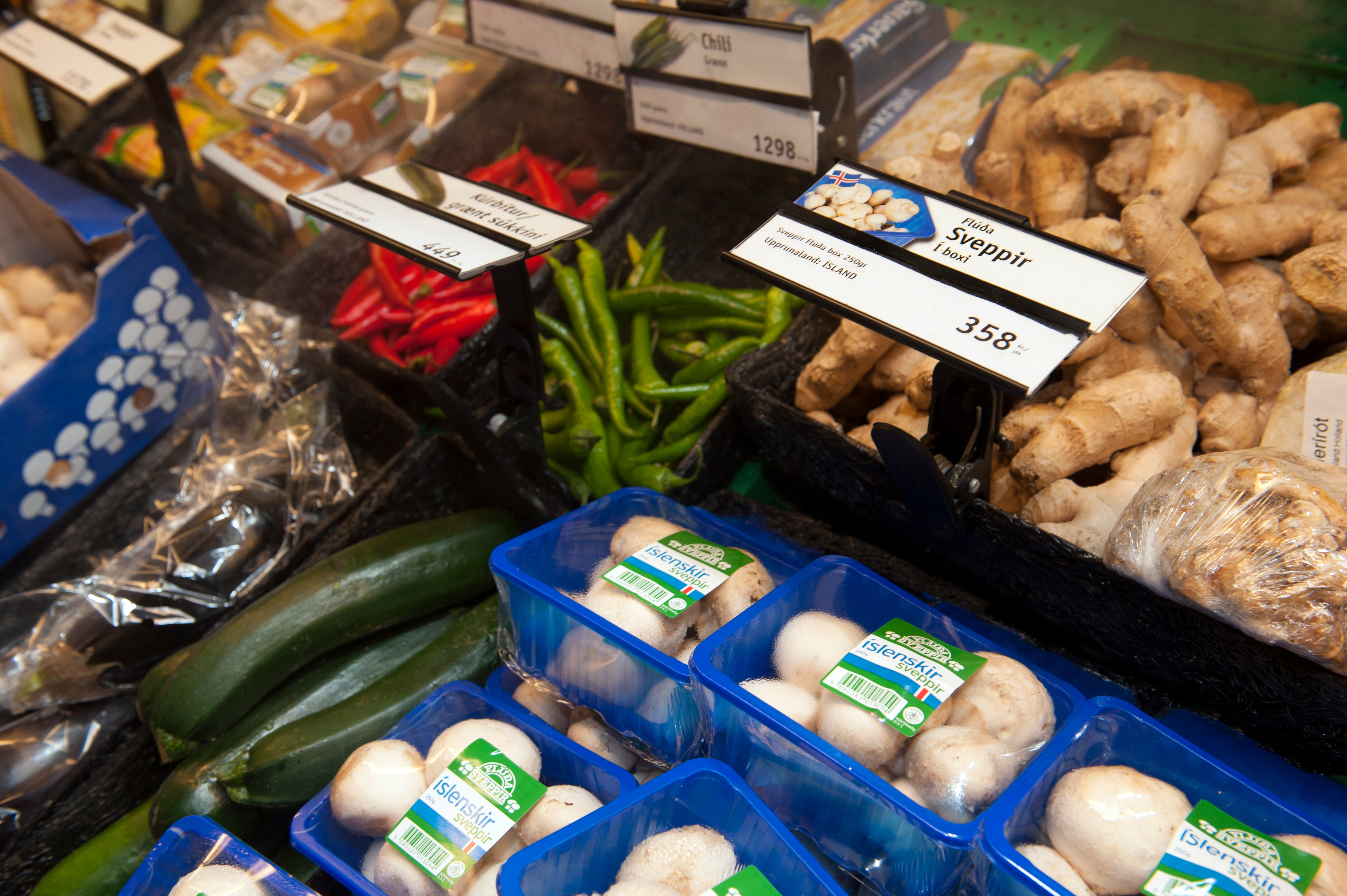 Stjórn Matvælasjóðs skipuð