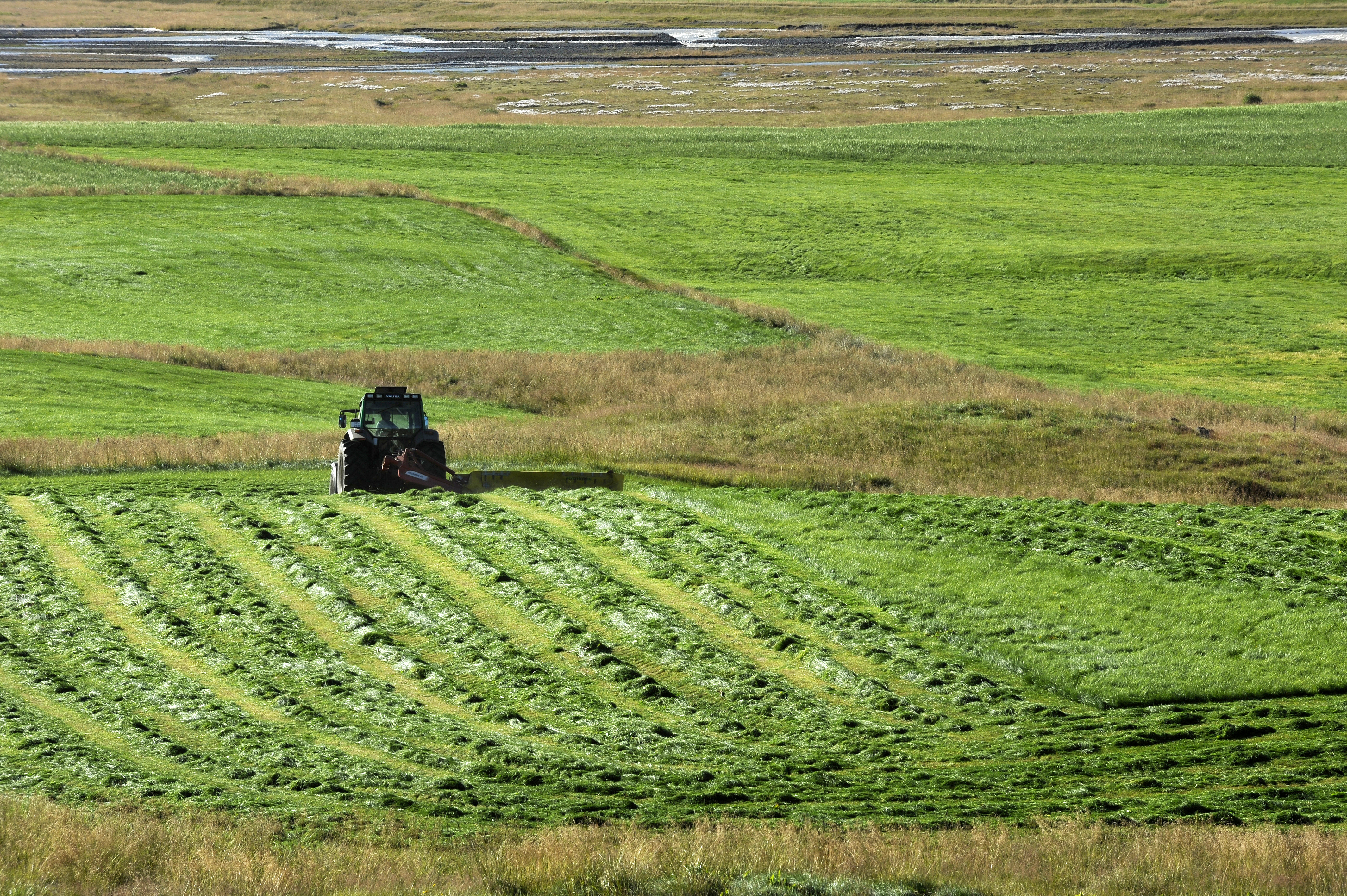 Eru heilu héruðin að falla í hendur erlendra auðmanna?