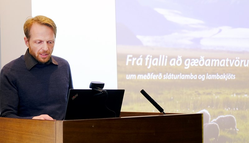 Þurfum að tryggja bragðgæði lambakjötsins og undirbyggja með rannsóknum