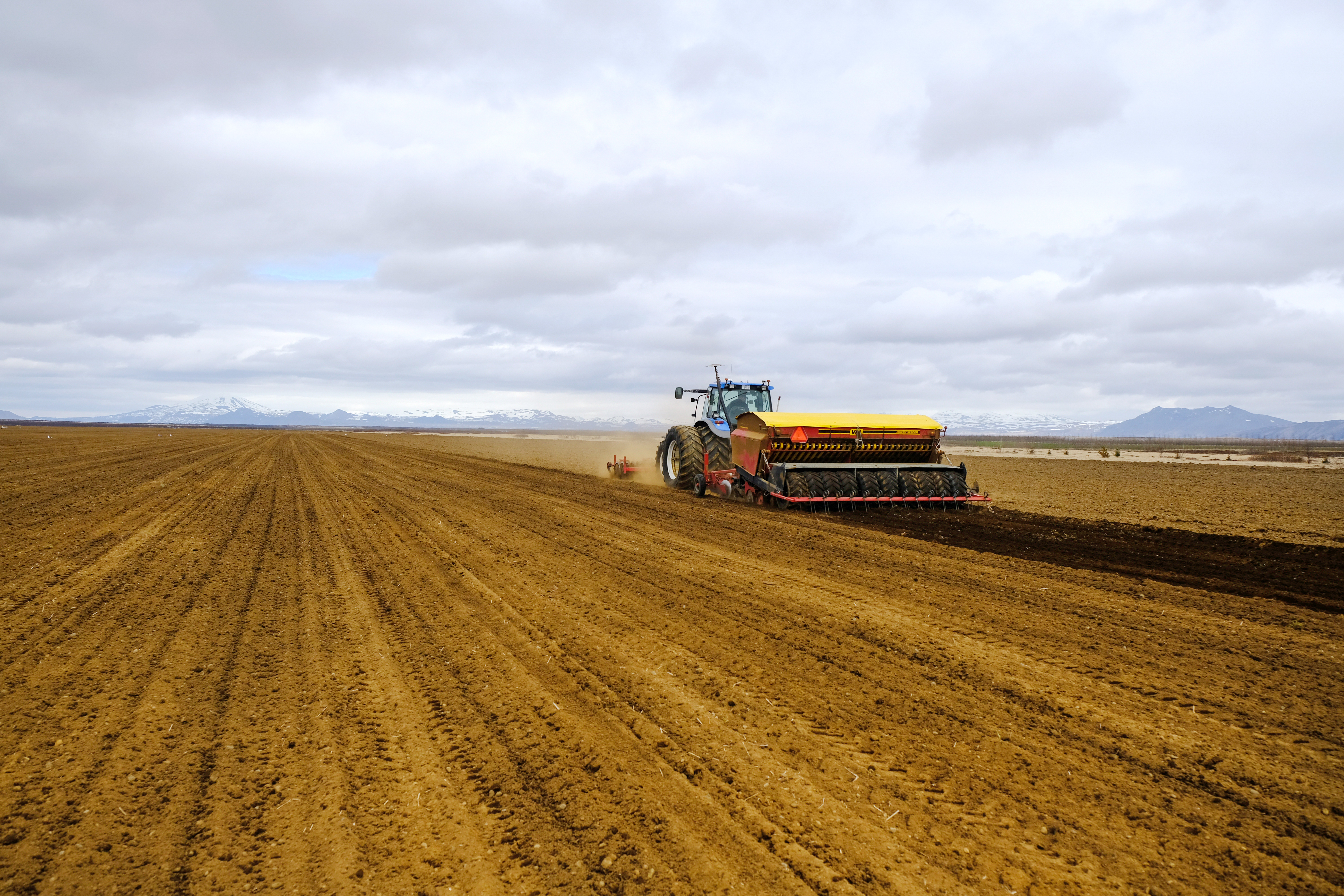 Einn hektari getur gefið af sér  tæpt tonn af svínakjöti