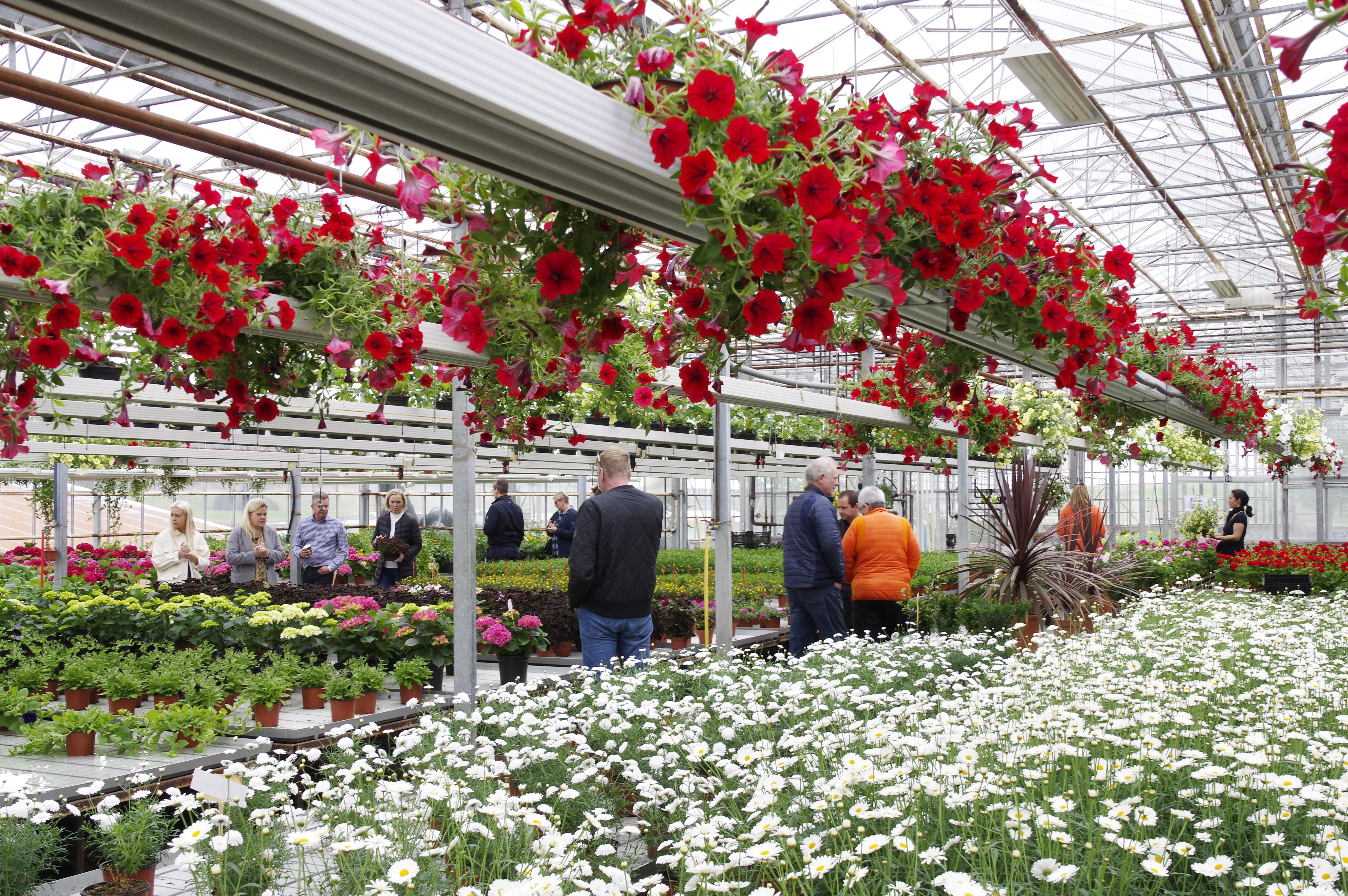 Garðyrkjuskóli Íslands stofnaður