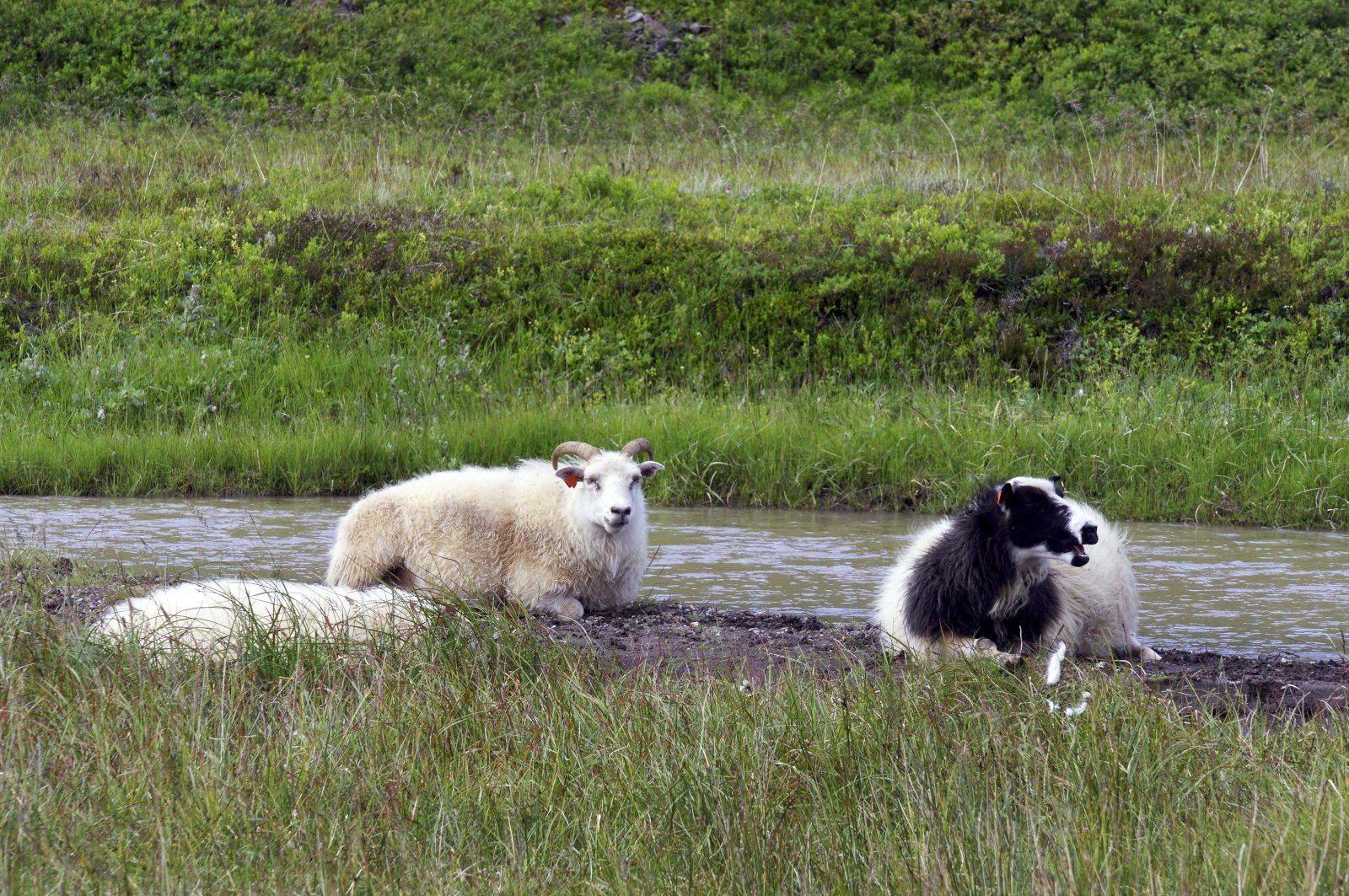 Ekki tekið á birgðavanda