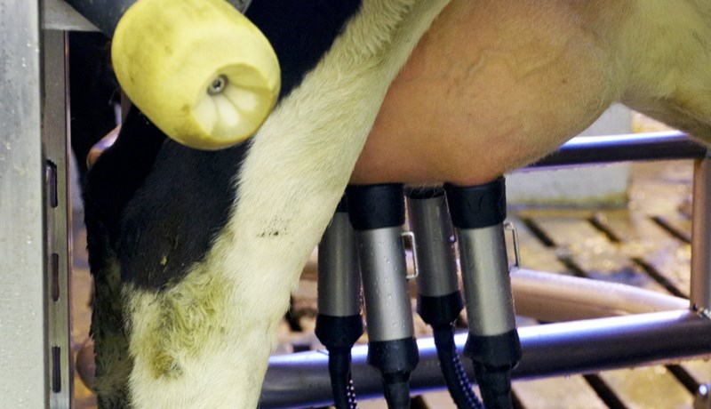 Frumutalan bendir til afurðataps