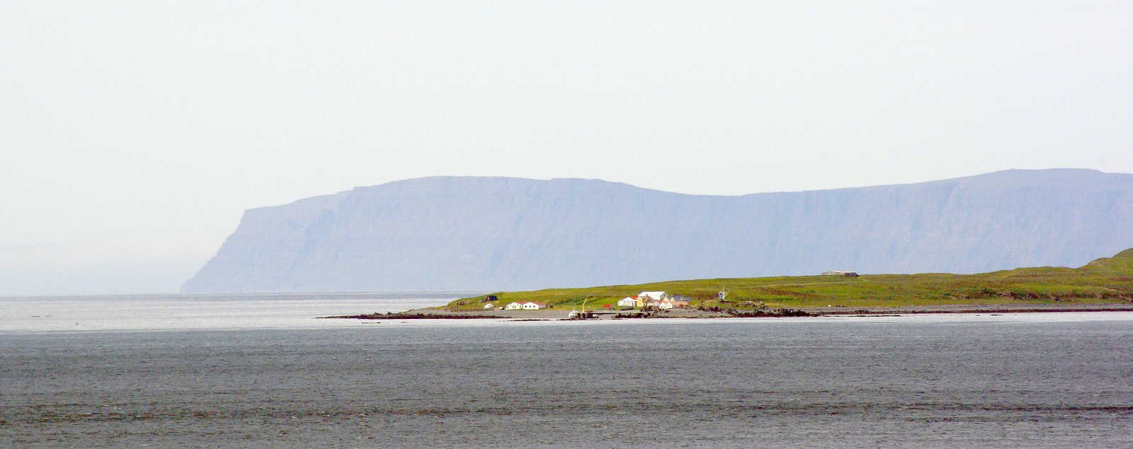 Makríllinn hreinsaði upp ætið í Djúpinu í fyrra