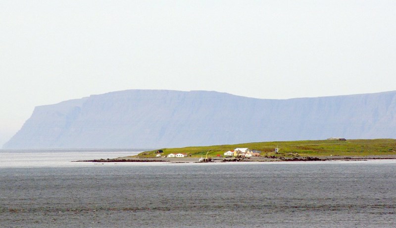 Makríllinn hreinsaði upp ætið í Djúpinu í fyrra