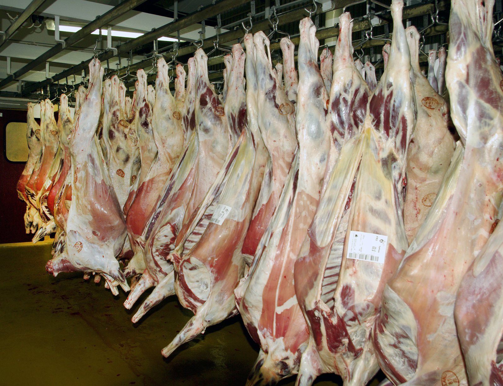 Nauðsynlegt að bregðast við