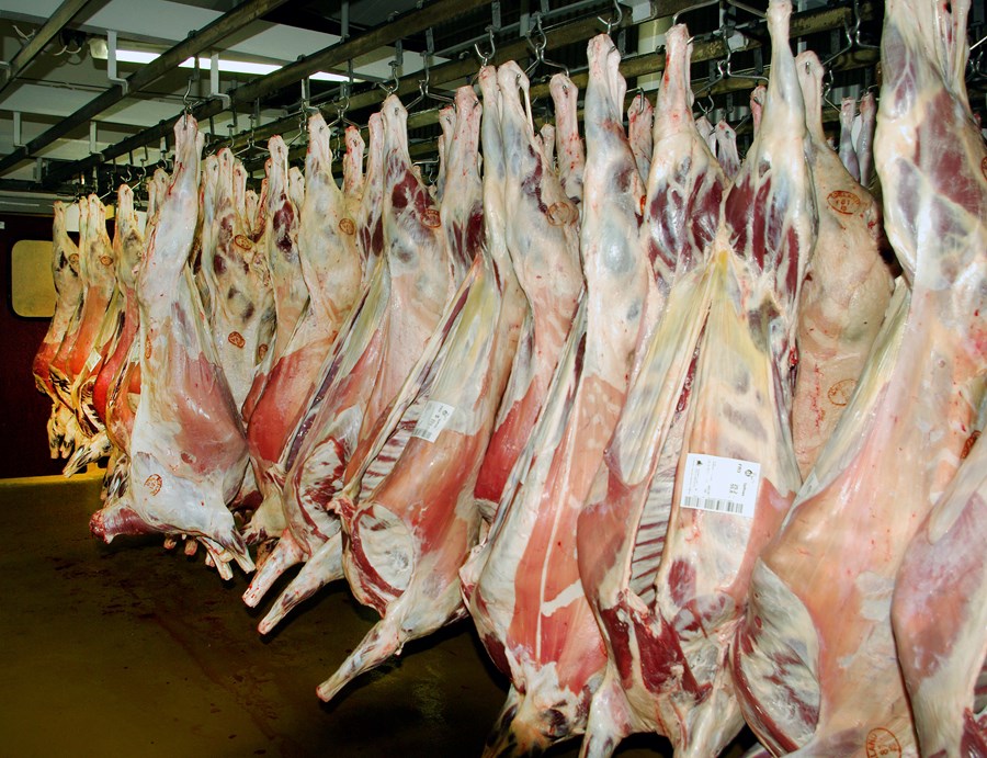 Sauðfjárbændur bera stöðugt minna úr býtum fyrir afurðir sínar. Mynd / HKr.