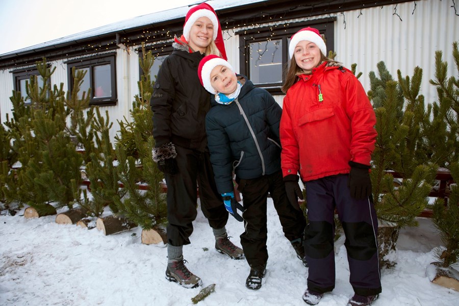Frá jólamarkaði Skógræktarfélags Reykjavíkur við Elliðavatn.