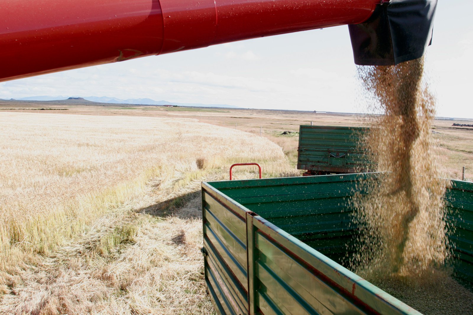 Víðast hvar metuppskera á Suðurlandi