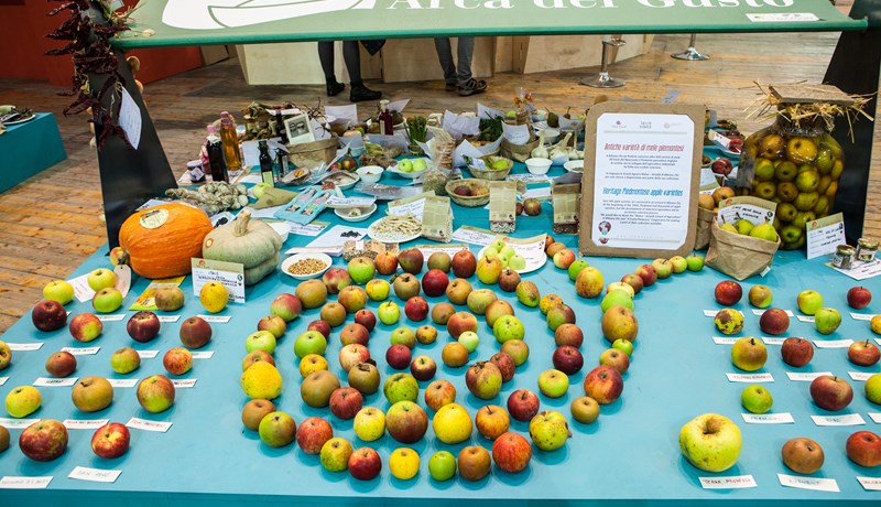 Matvæli skulu vera vel gerð