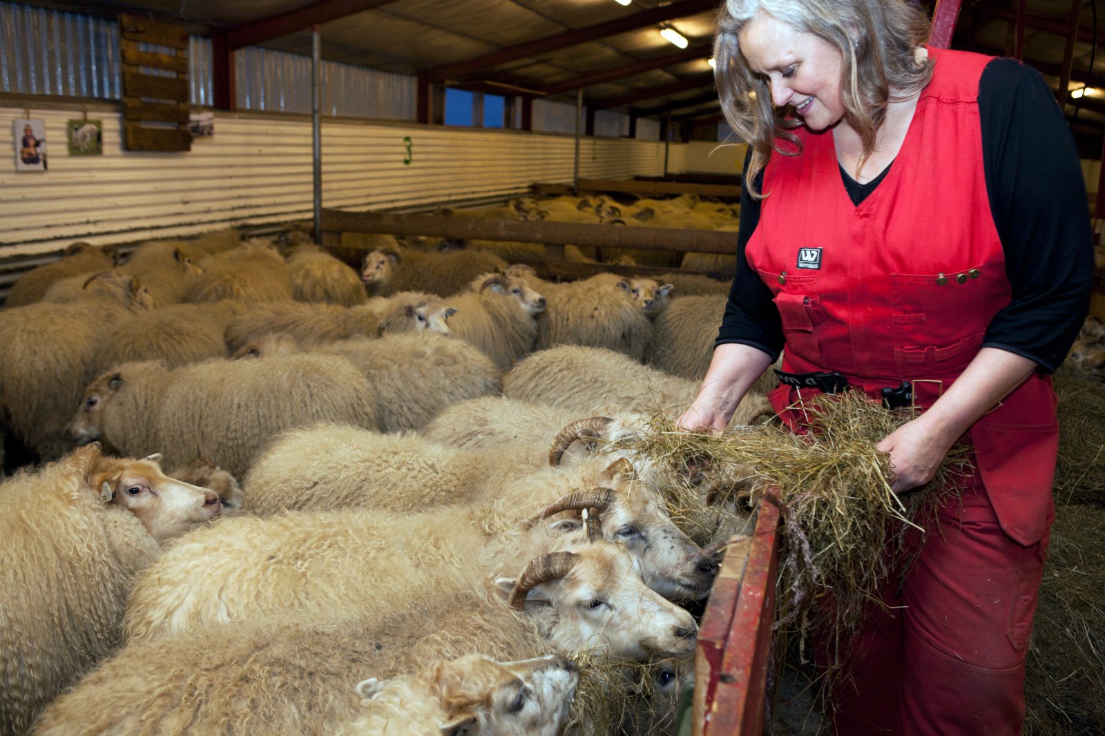 Hertar reglur um lífrænt vottaða framleiðslu