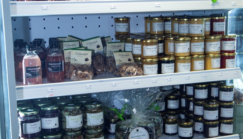 Matur og fæðubótarefni ekki forvörn gegn sýkingum