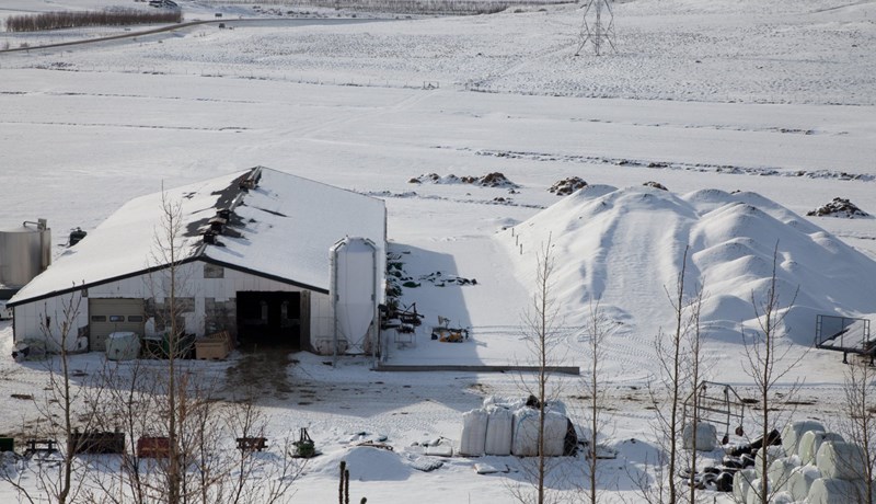 Framkvæmdir við 240 kúa fjósbyggingu að hefjast - myndskeið
