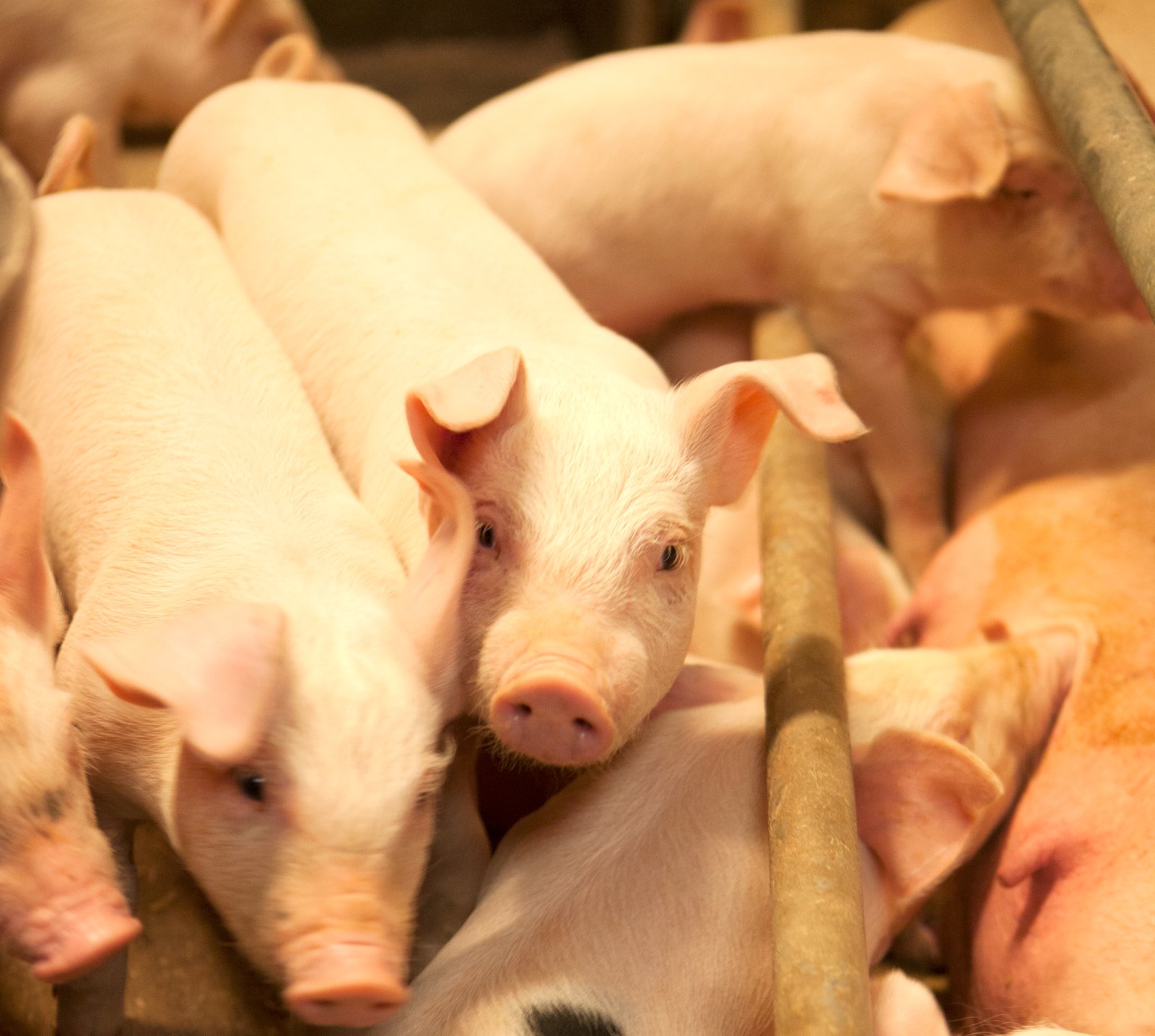 Í upphafi skyldi endinn skoða