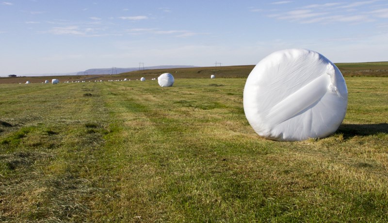 Sagðir innihalda „ríkisstyrkt dýraníð“