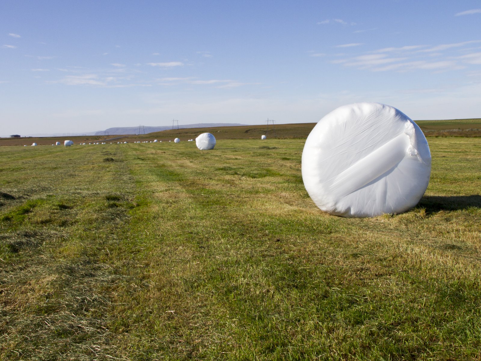 Ný stjórn vill aukna framleiðni í landbúnaði, draga úr sértækum búgreinastyrkjum og endurskoða ráðstöfun tollkvóta