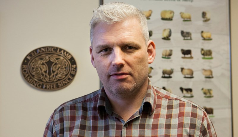 Sóknaráætlanir sauðfjárbænda