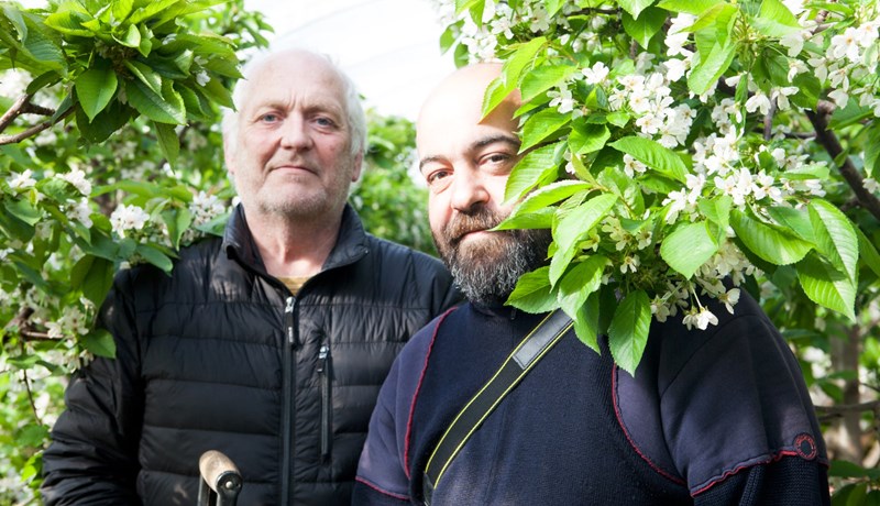 Átti ekki von á því að ég myndi gerast vínbóndi