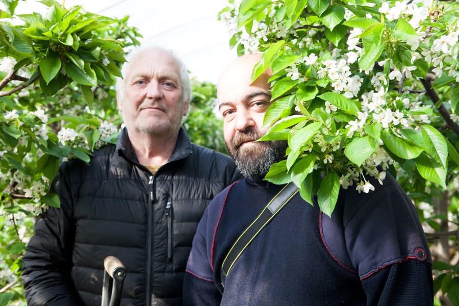 Ingólfur og Alessandro í gróðurhúsi Ingólfs þar sem kirsuberjatrén voru í fullum blóma.  Alessandro hafði á orði að það að stíga inn í gróðurhúsið væri eins og að koma heim til Sardiníu.