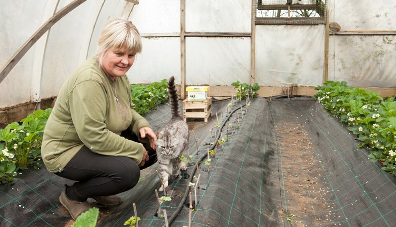 Markaðurinn og völundar-húsið opnað á Engi