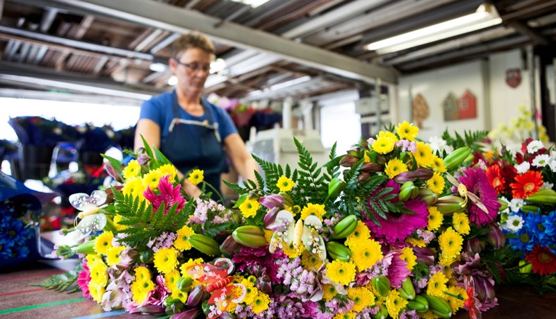 Eilíf litadýrð á Espiflöt