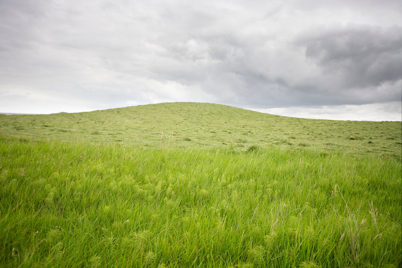 Breytingar á búnaðargjaldi í sjónmáli