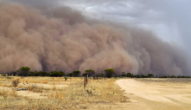 Undirstaða lífsins