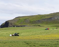 Farsæl kynslóðaskipti þýðingarmikil fyrir íslenskan landbúnað