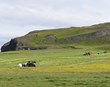 Farsæl kynslóðaskipti þýðingarmikil fyrir íslenskan landbúnað