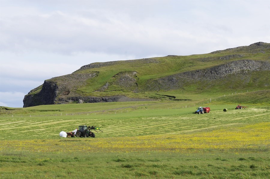 „ Að mínu mati eru aðgerðir til þess að auðvelda nýliðun og kynslóðaskipti í íslenskum landbúnaði eitt mikilvægasta viðfangsefnið við komandi endurskoðun stuðningskerfisins.“