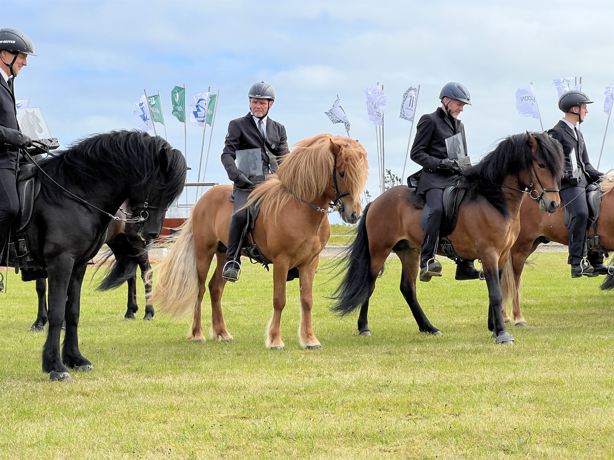 DNA-sýni kynbótahrossa 2023