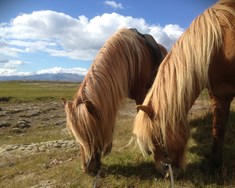 Framhald viðræðna við Evrópusambandið í ljósi sögunnar