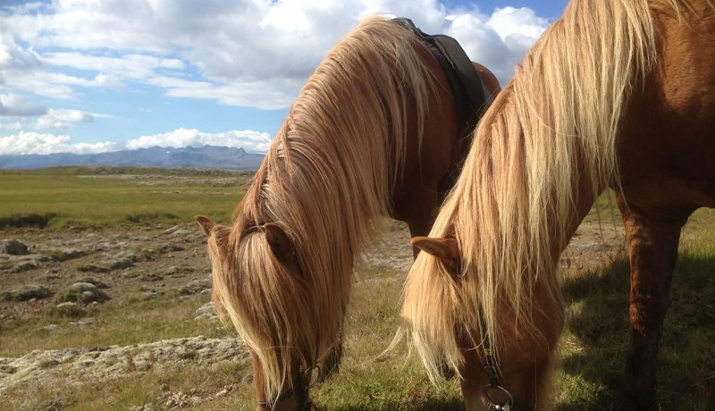Framhald viðræðna við Evrópusambandið í ljósi sögunnar