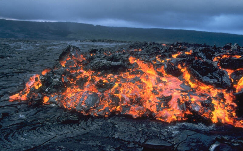 Áhrif brennisteinsdíoxíðs á dýr