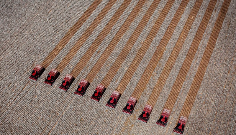 Bómullarinnar blóði drifna slóð