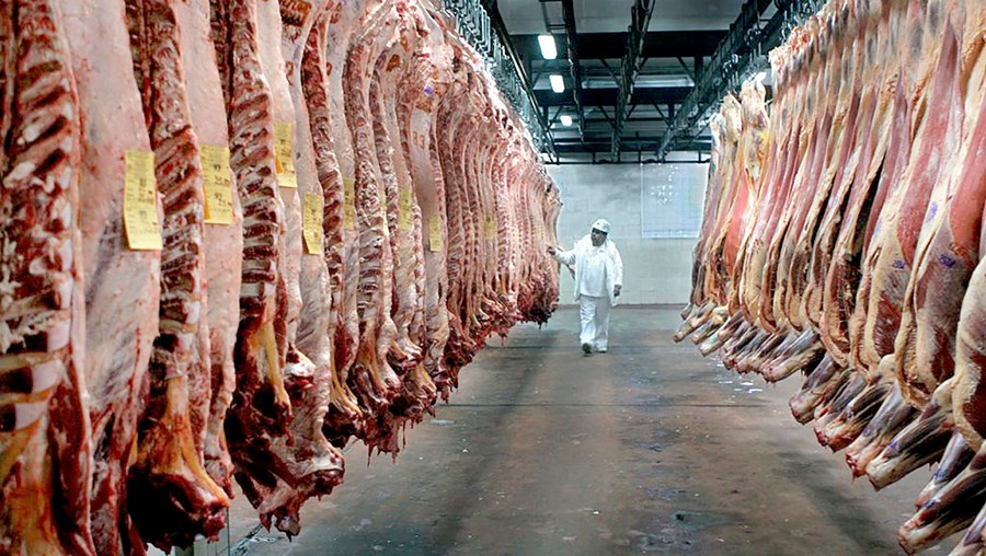 Brasilía og Argentína sjá mikla möguleika í aukinni sölu nautakjöts til Evrópu. Fréttir af eyðingu skóga á Amazon-svæðinu er einmitt nátengd stórauknum umsvifum Brasilíumanna í nautgriparækt. Evrópusambandið gerði fríverslunarsamning við Mercosur-ríkin í