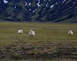 Landsbyggðin og jafnræði