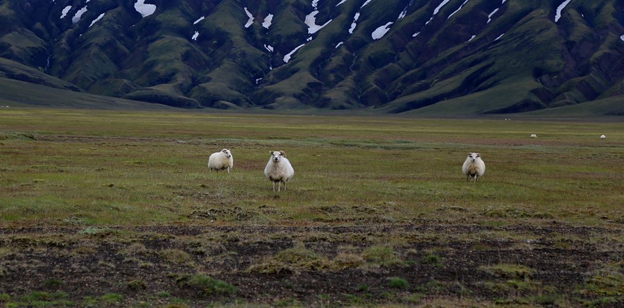 Landsbyggðin og jafnræði
