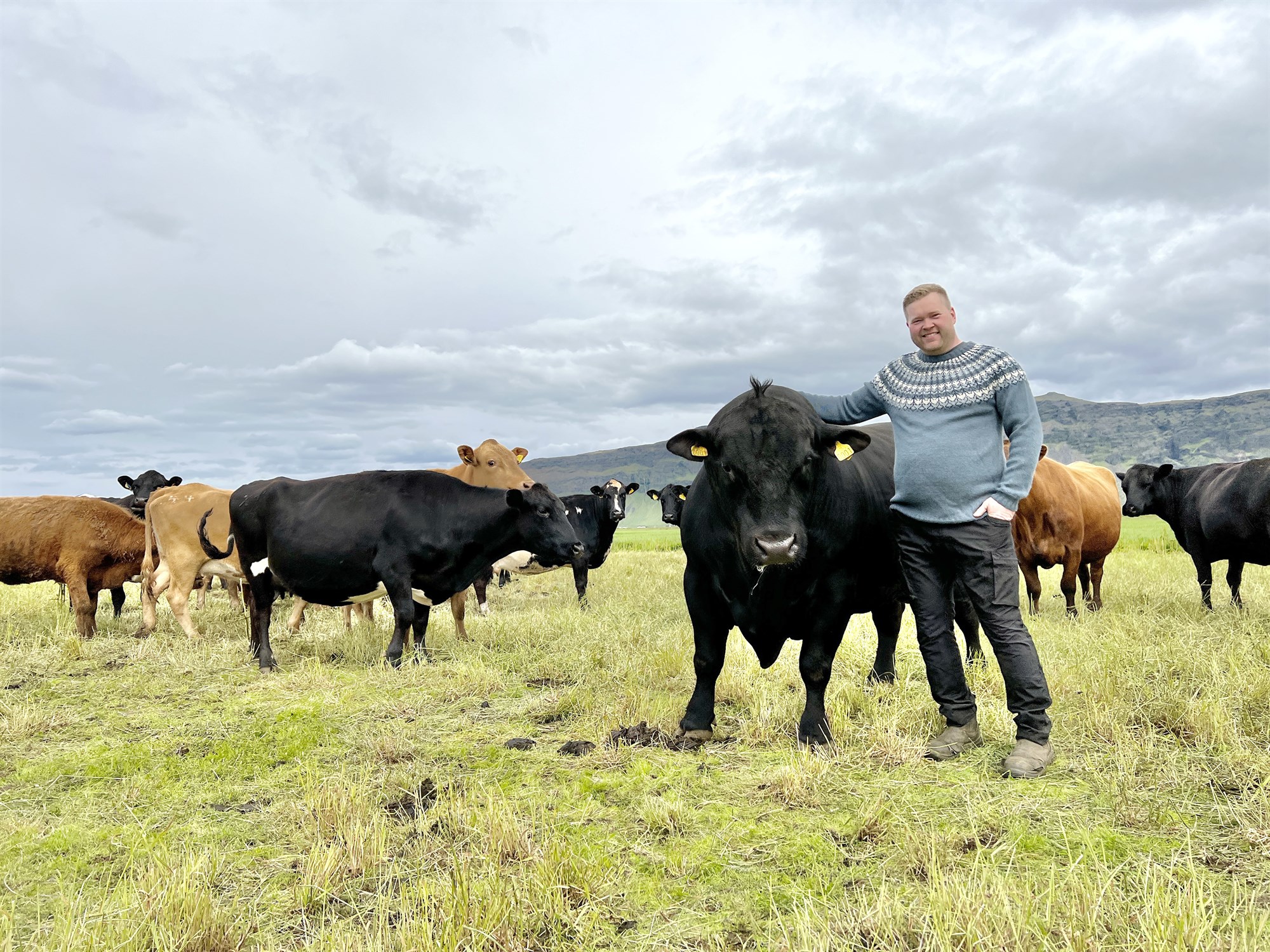 „Við vissum að þetta var draumurinn og létum vaða!“