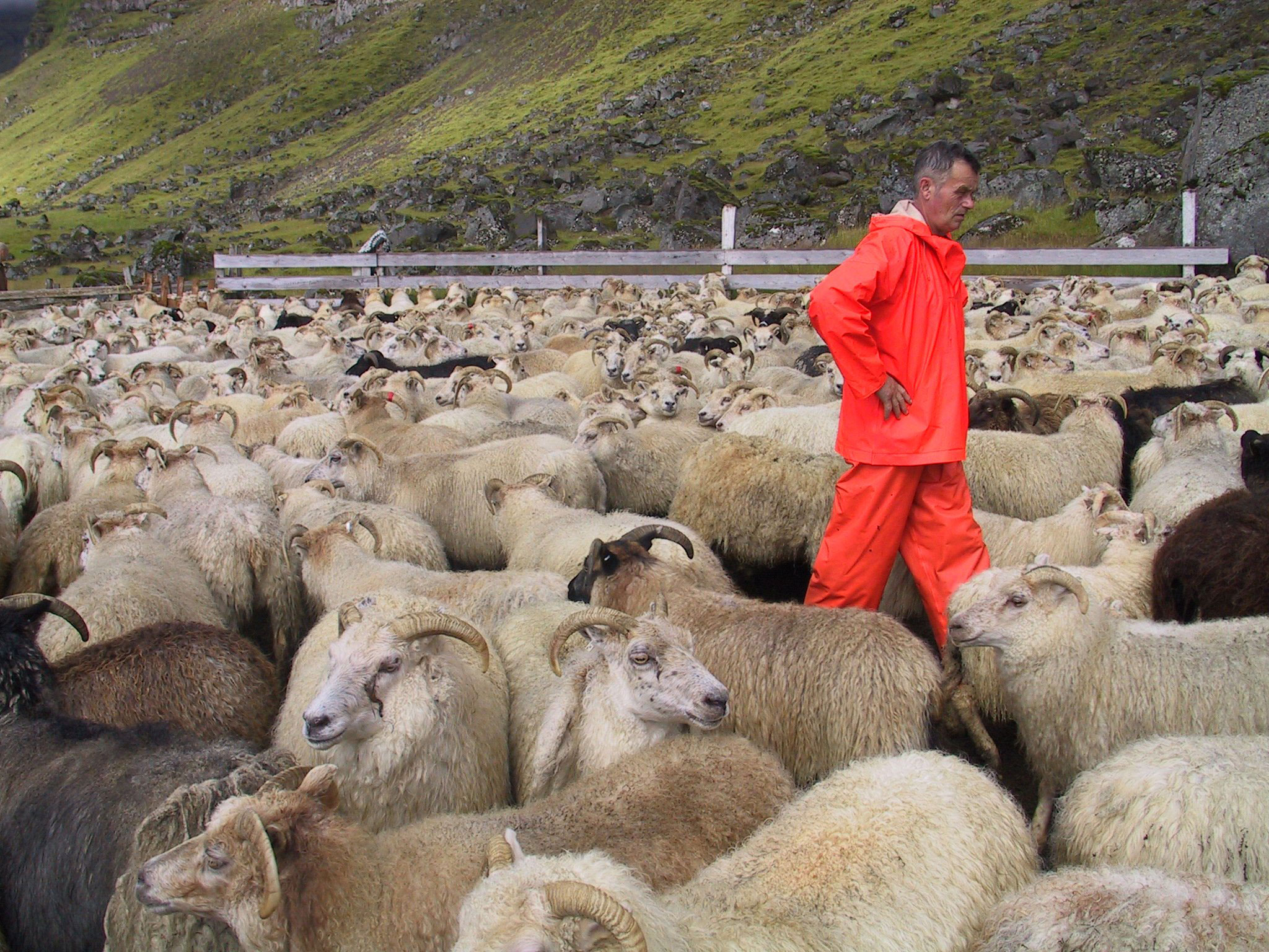 Yfirgnæfandi vilji til að stofna sölufyrirtæki fyrir afurðirnar