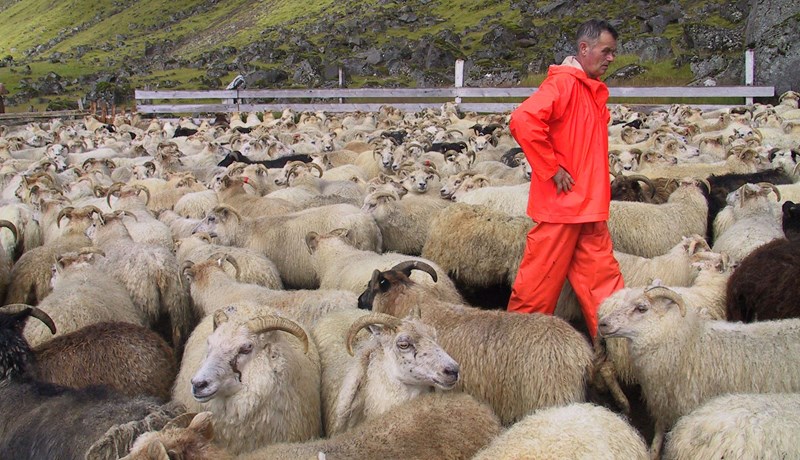 Yfirgnæfandi vilji til að stofna sölufyrirtæki fyrir afurðirnar