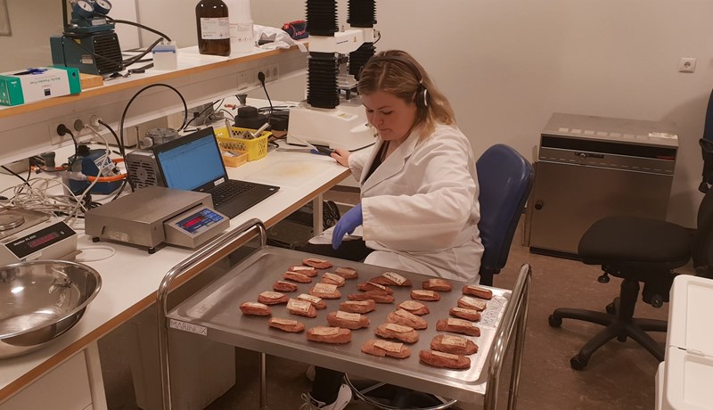 Hrossa- og folaldakjöt er takmörkuð auðlind