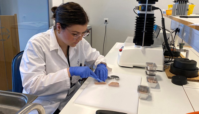 Ljósi brugðið á kjötgæðarannsóknir