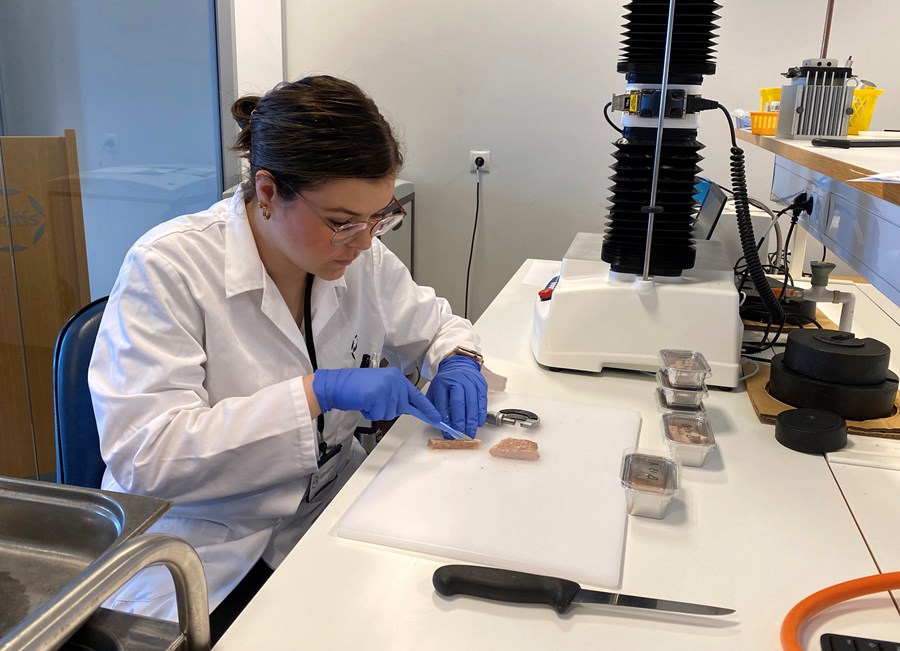 Hér vinnur Eva Margrét að áferðarmælingum. „Þó að við notum skynmatið mikið í rannsóknum þá er það einnig notað í gæðastýringu og við vöruþróun til dæmis,“ segir hún.