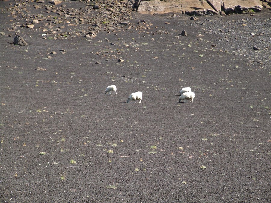 Mikilvægt að gera athugasemdir sem fyrst